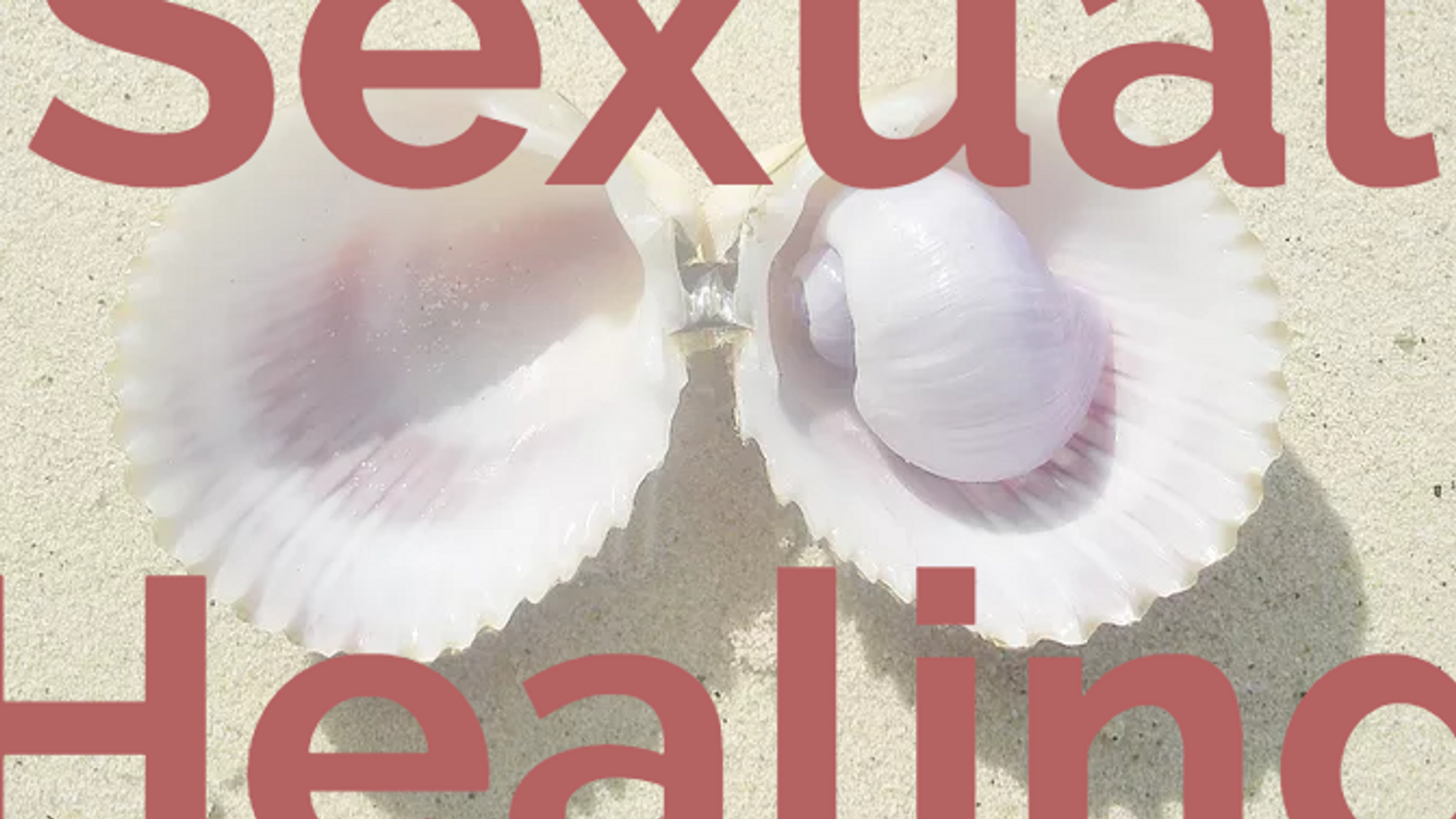 Videoblog